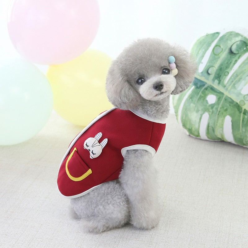 Classical Design Autumn Dog Clothes