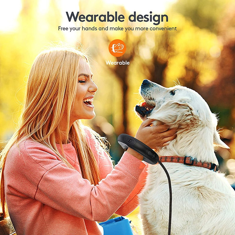 USB LED Retractable Dog Leash