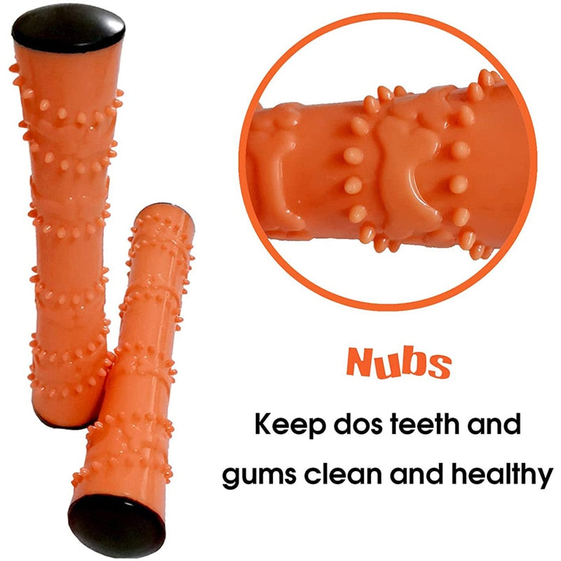 Indestructible Squeaky Dog Chew Toys