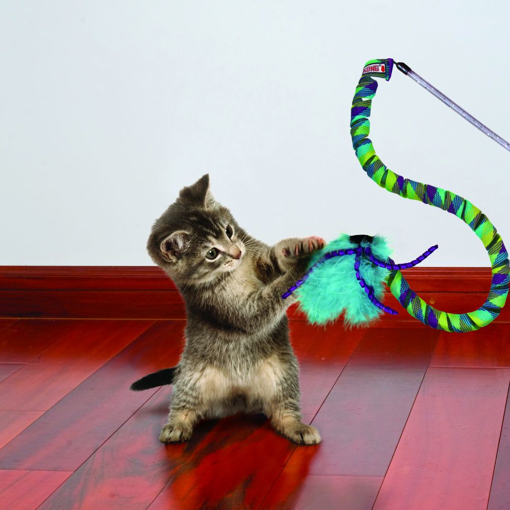 Teaser Curlz Cat Toy