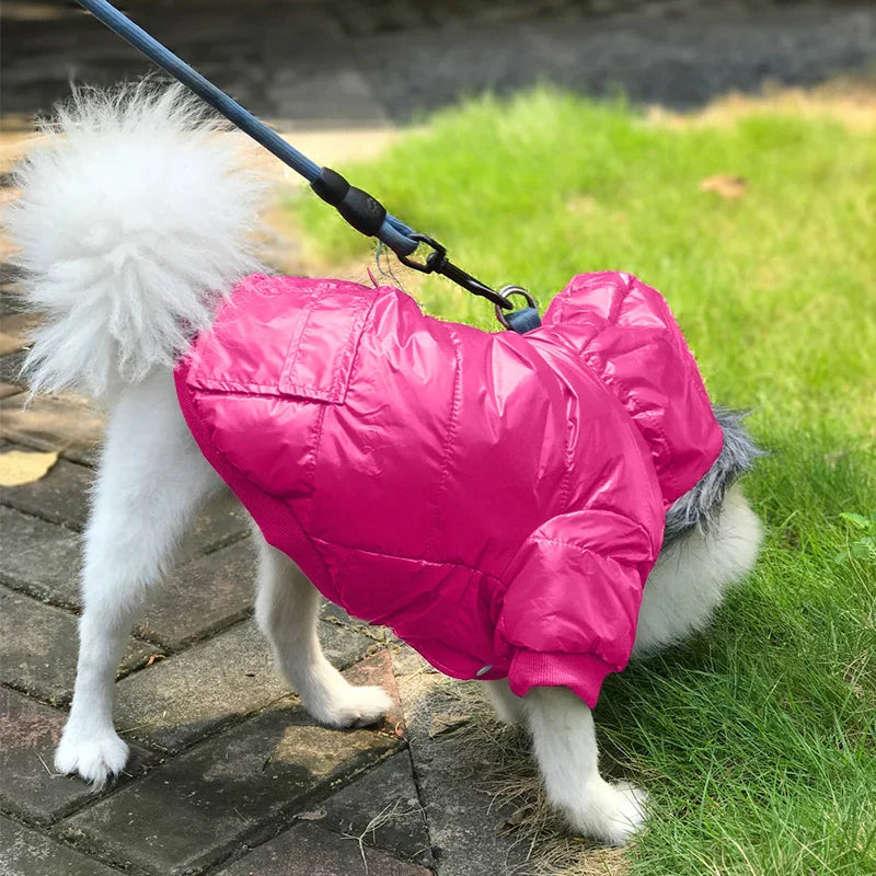Fashion Warm Dog Winter Coats