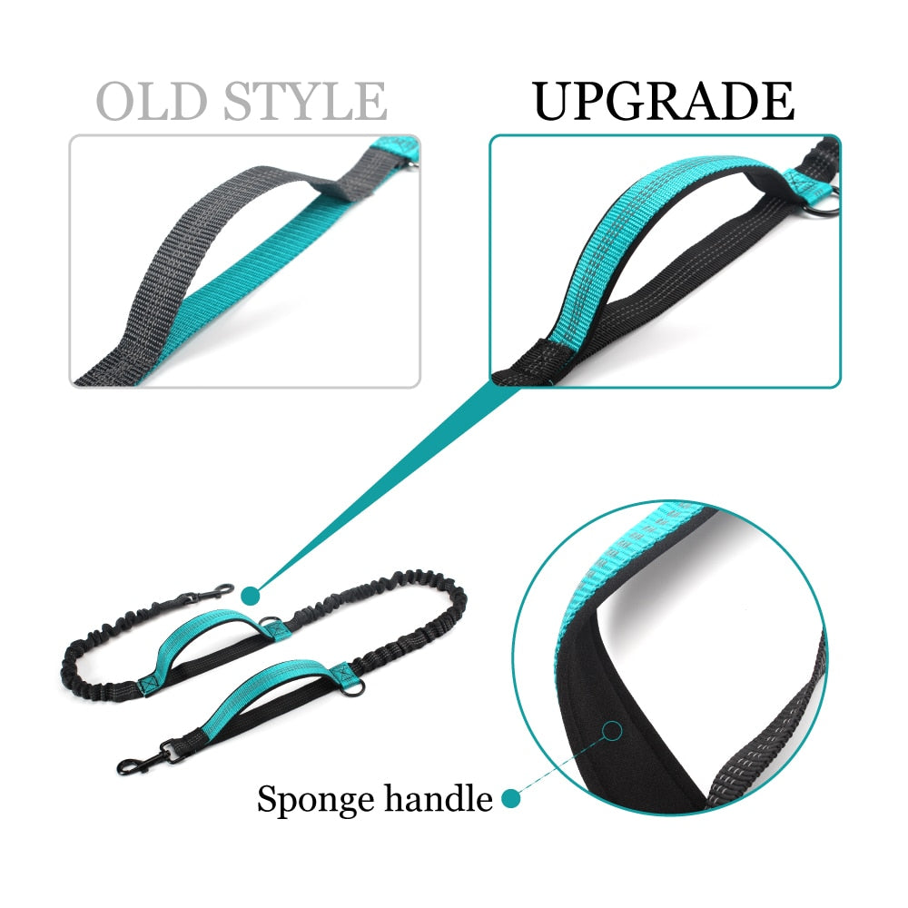 Hands Free Dog Leash Dual Padded Handle