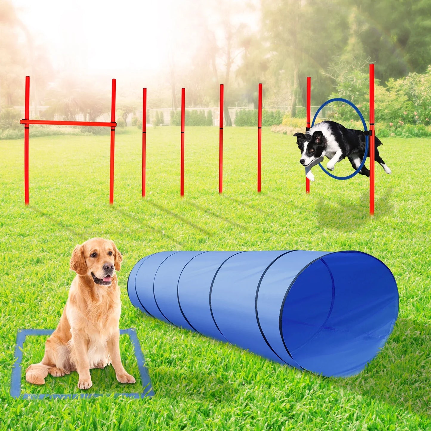Dog Training Agility Equipment Full Set