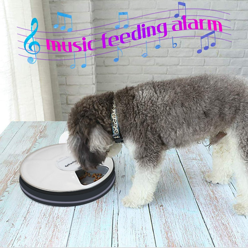 High Quality 6 Meals Dog Automatic Feeder