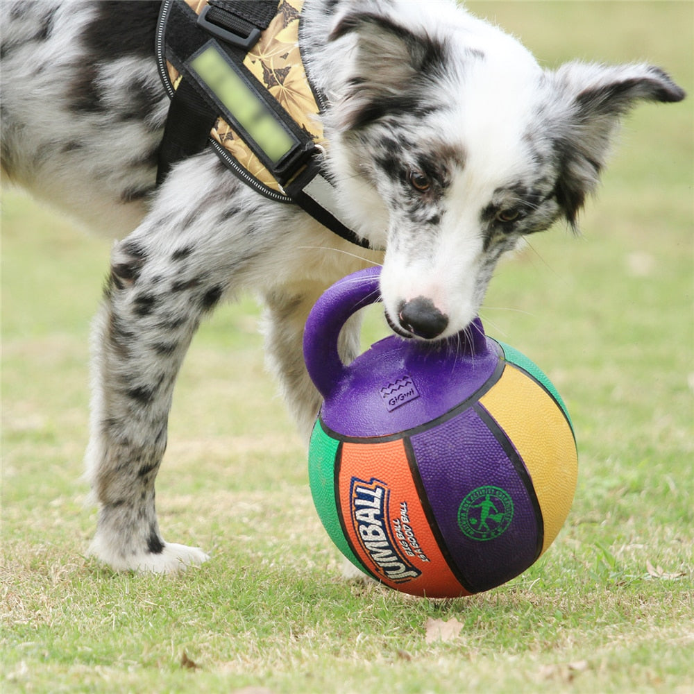 8 Inch Basketball Dog Toy