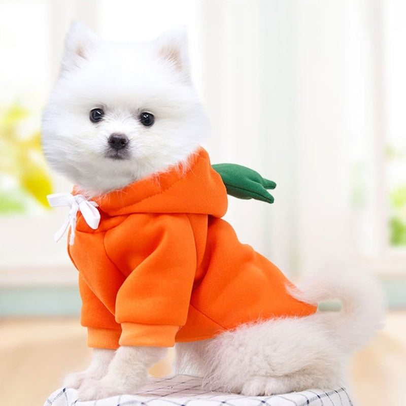 Dog Winter Cute Warm Hoodies