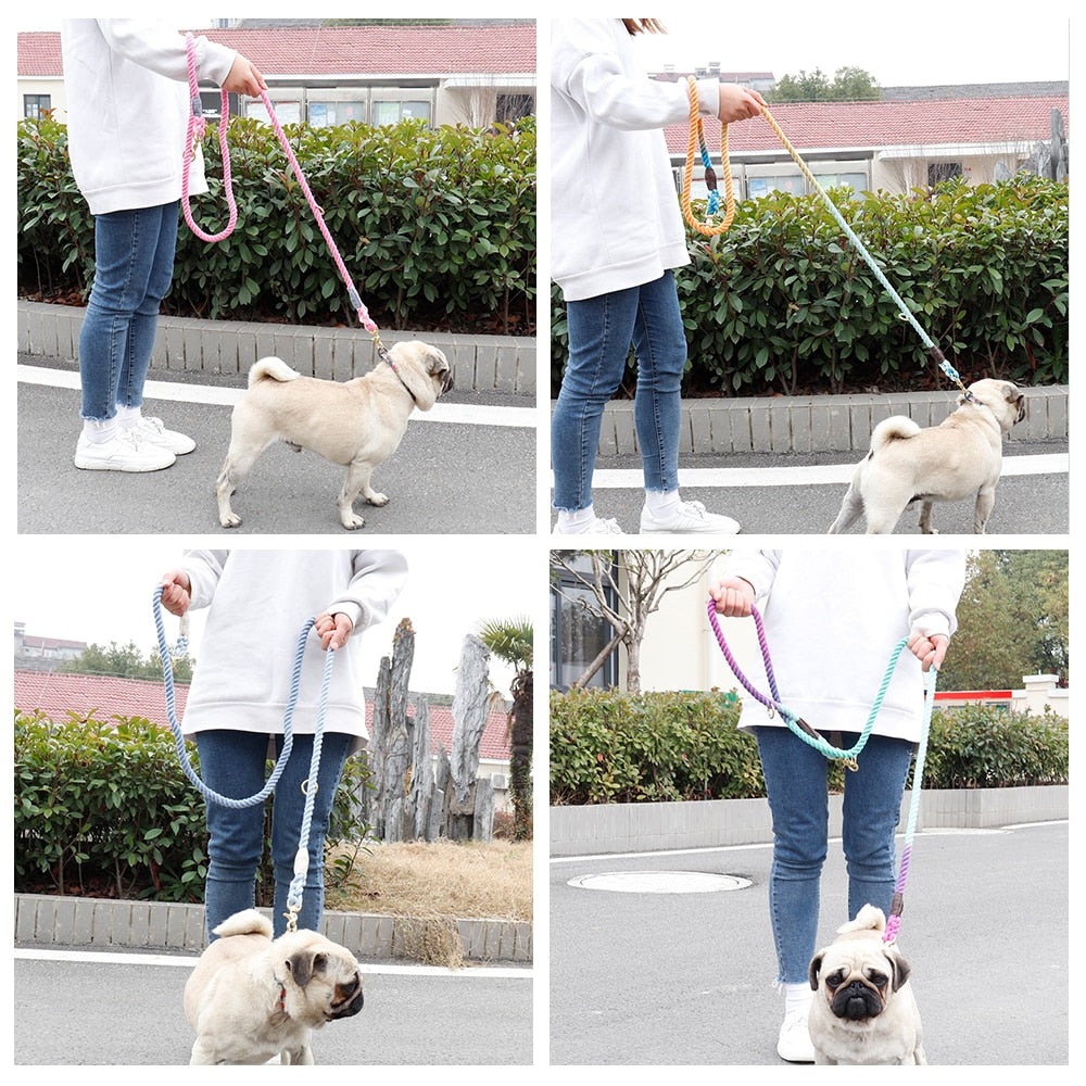 Multifunctional Nylon Dog Walking Leash