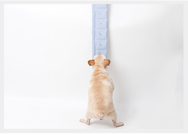 Dogs Intelligence IQ Snuffle Mat