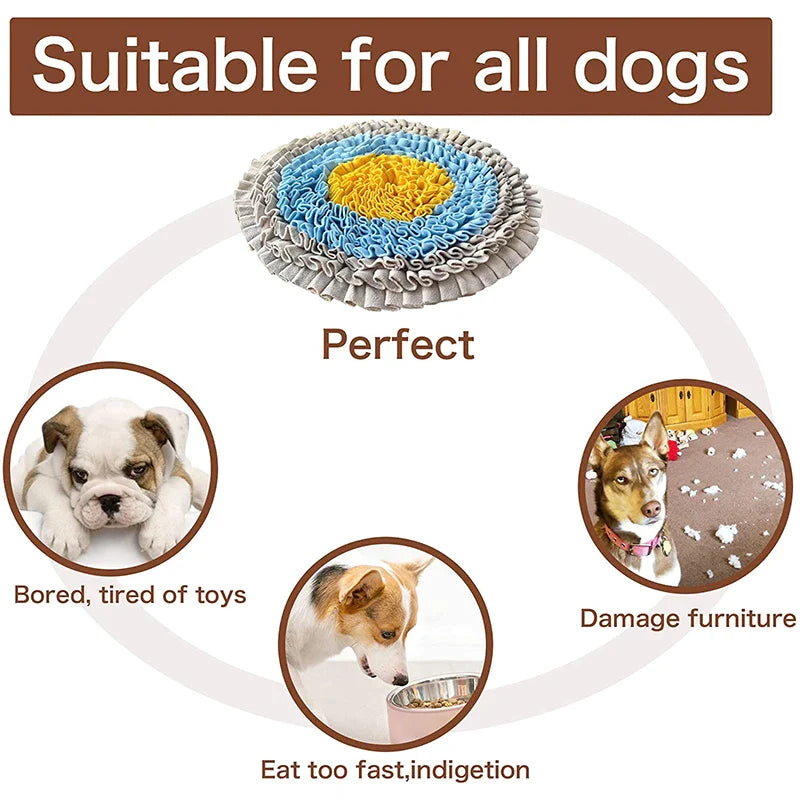 Food Dispensing IQ Dog Puzzle Mat