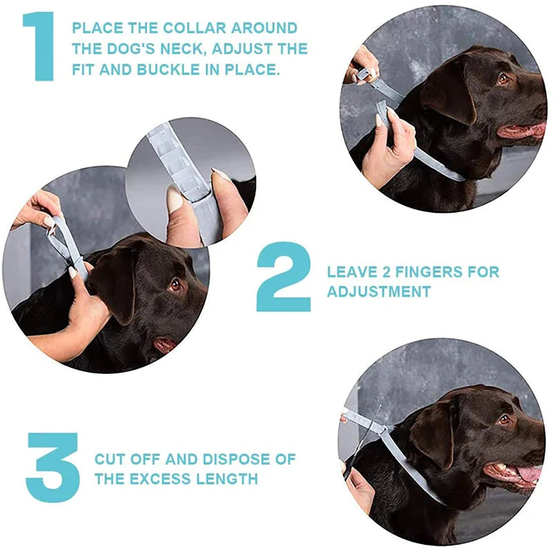 Effective Calming Collar For Dogs