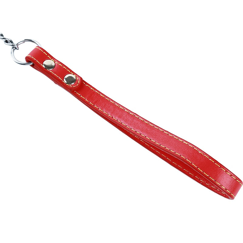Bite Proof Heavy Duty Chain Dog Leash