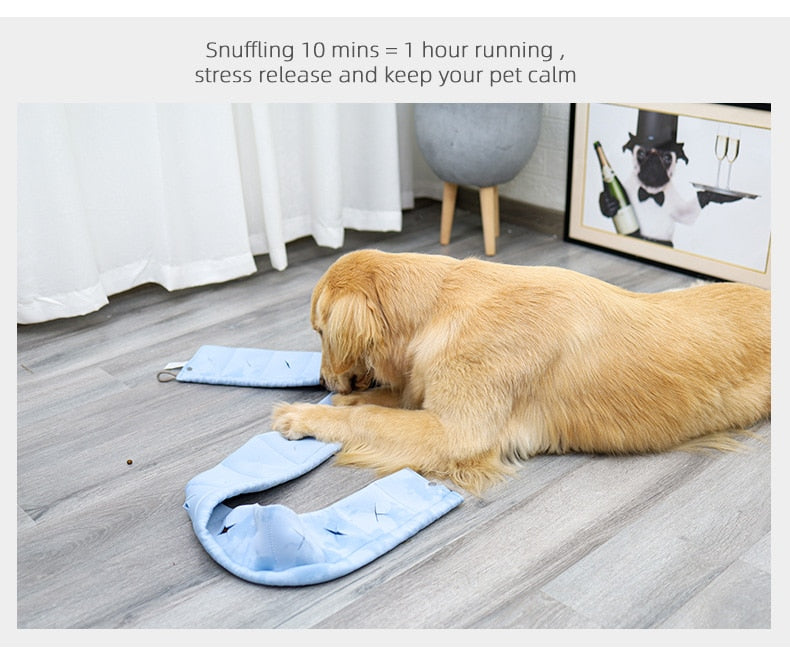 Dogs Intelligence IQ Snuffle Mat