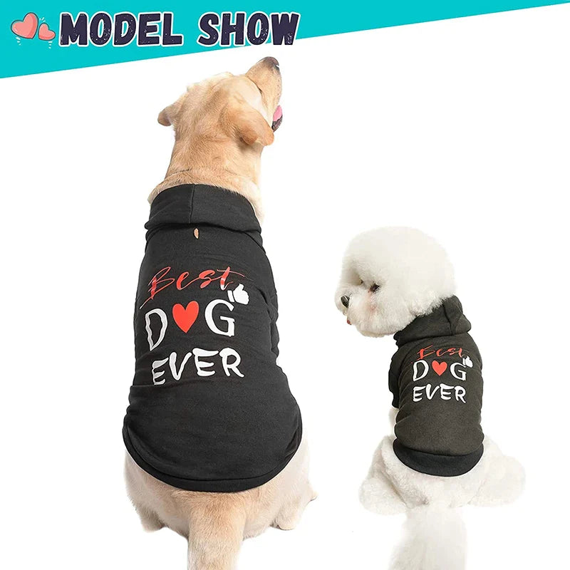 Stylish Fashion Print Dog Hoodie