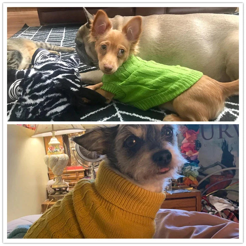 Small Dog Warm Knitted Sweater