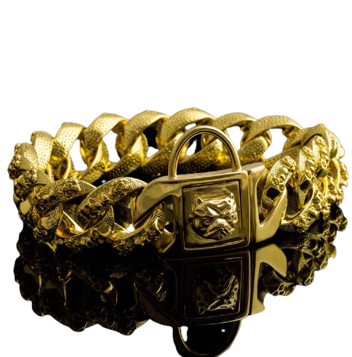 Premium Large Dog Skull Collar