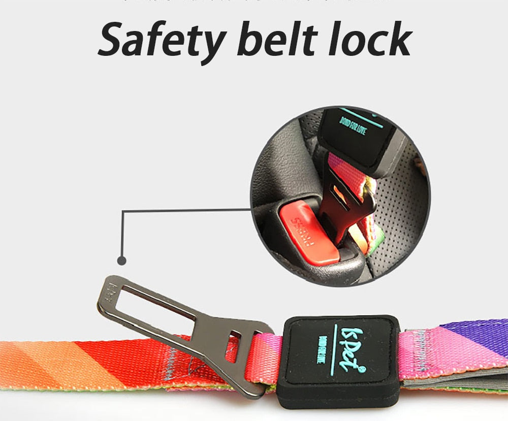 2 In 1 Pet Dog Walking Leash