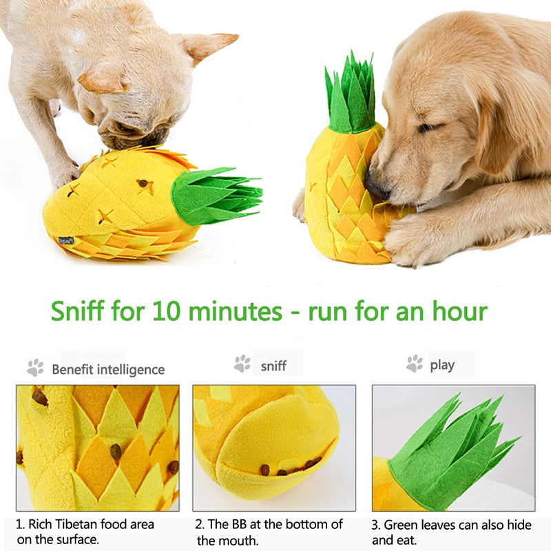 Pineapple Fruit Fun Snuffle Mat