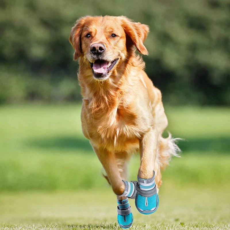 9 Holes Air Mesh Dog Shoes