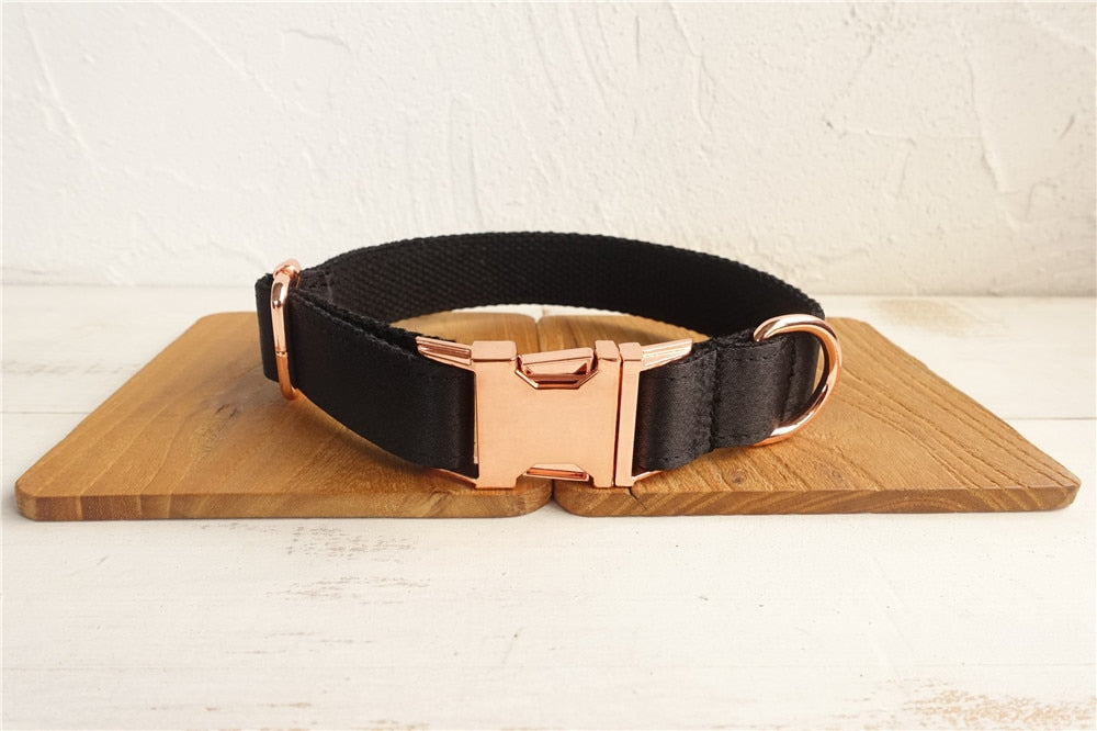 The BLACK KNIGHT Designer Collar