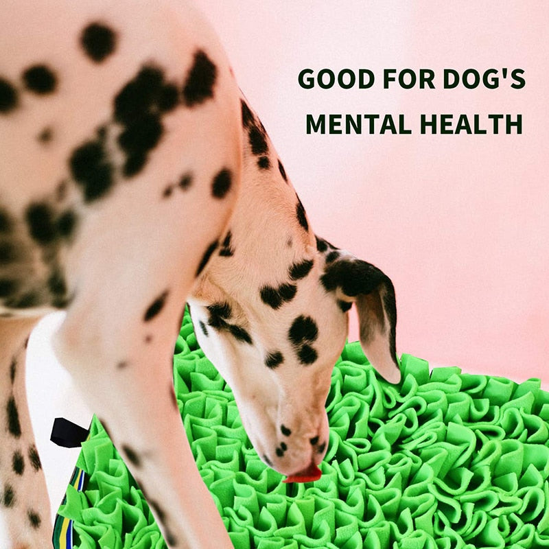 Dog Puzzle Toy Snuffle Mat