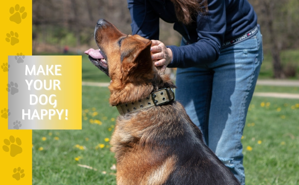 Extra Large Dogs Tactical Collar