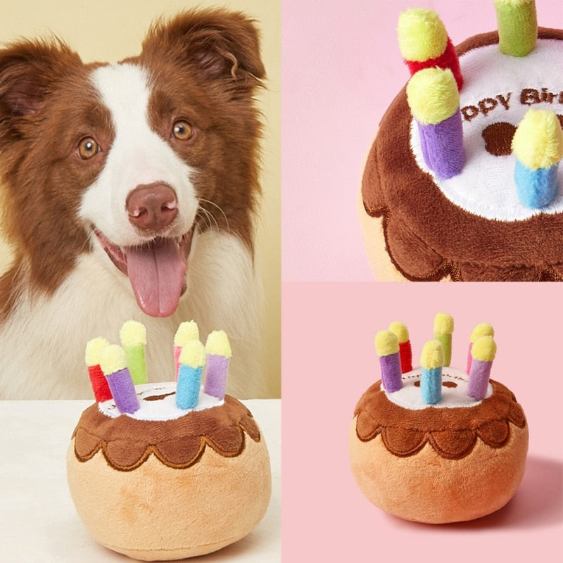Birthday Cake Shape Dog Toys