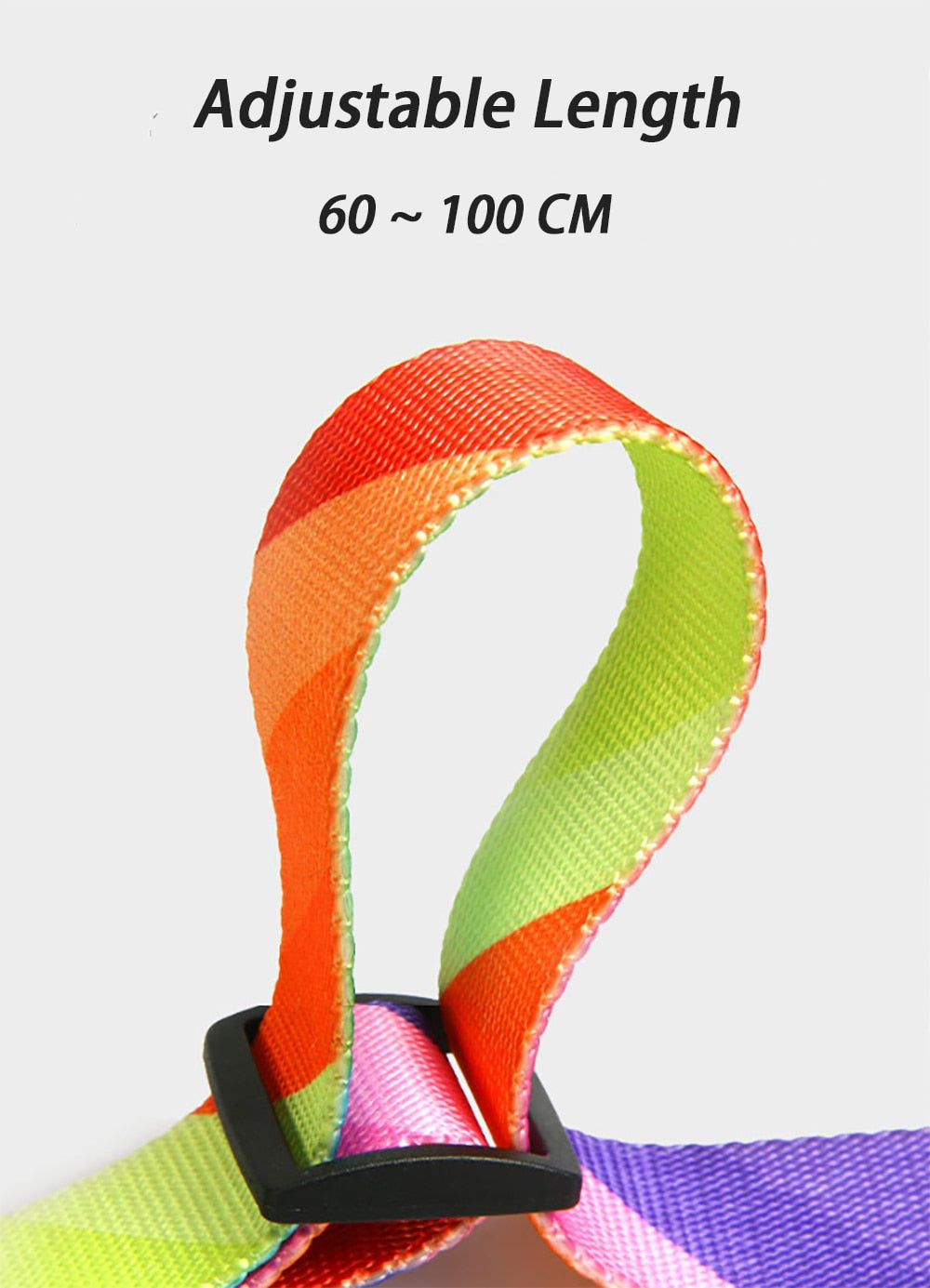 2 In 1 Pet Dog Walking Leash