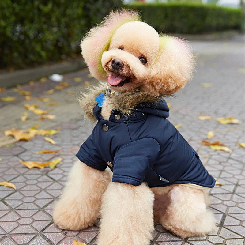 Cold Weather Hoodie Dog Jacket