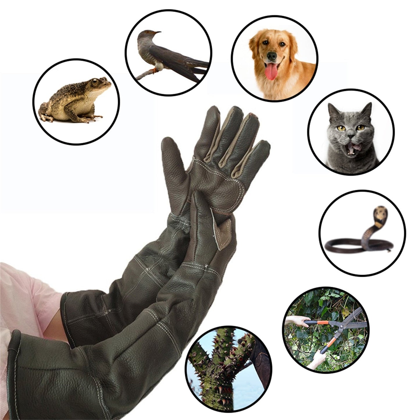 Cowhide Leather Anti Grasping Dog Protective Gloves