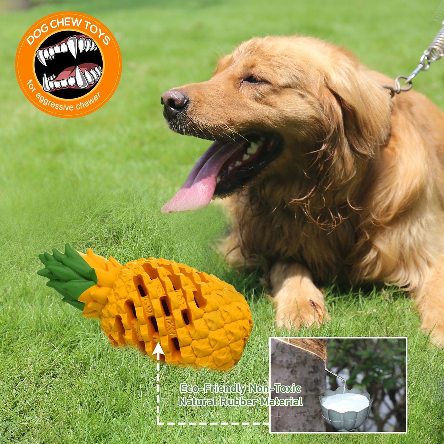 Indestructible Pineapple Dog Chew Toy