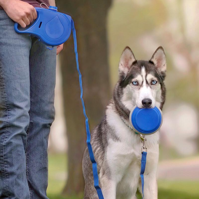 Built In Water Bottle Dog Leash