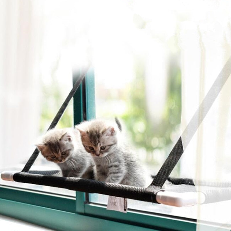 10Kg Cat Hammock And Lounger