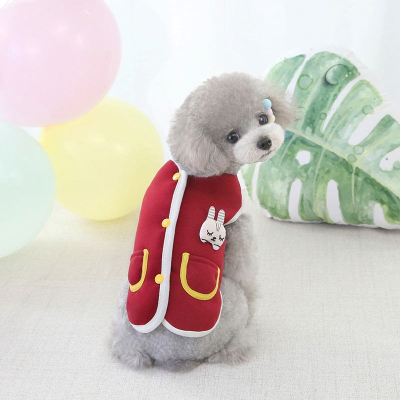 Classical Design Autumn Dog Clothes