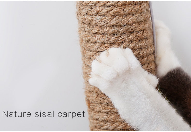Fun Cat Scratcher With Toy Ball