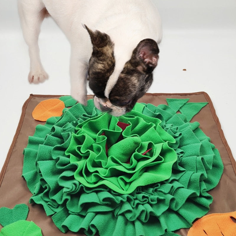 Interactive Game Training Snuffle Mat
