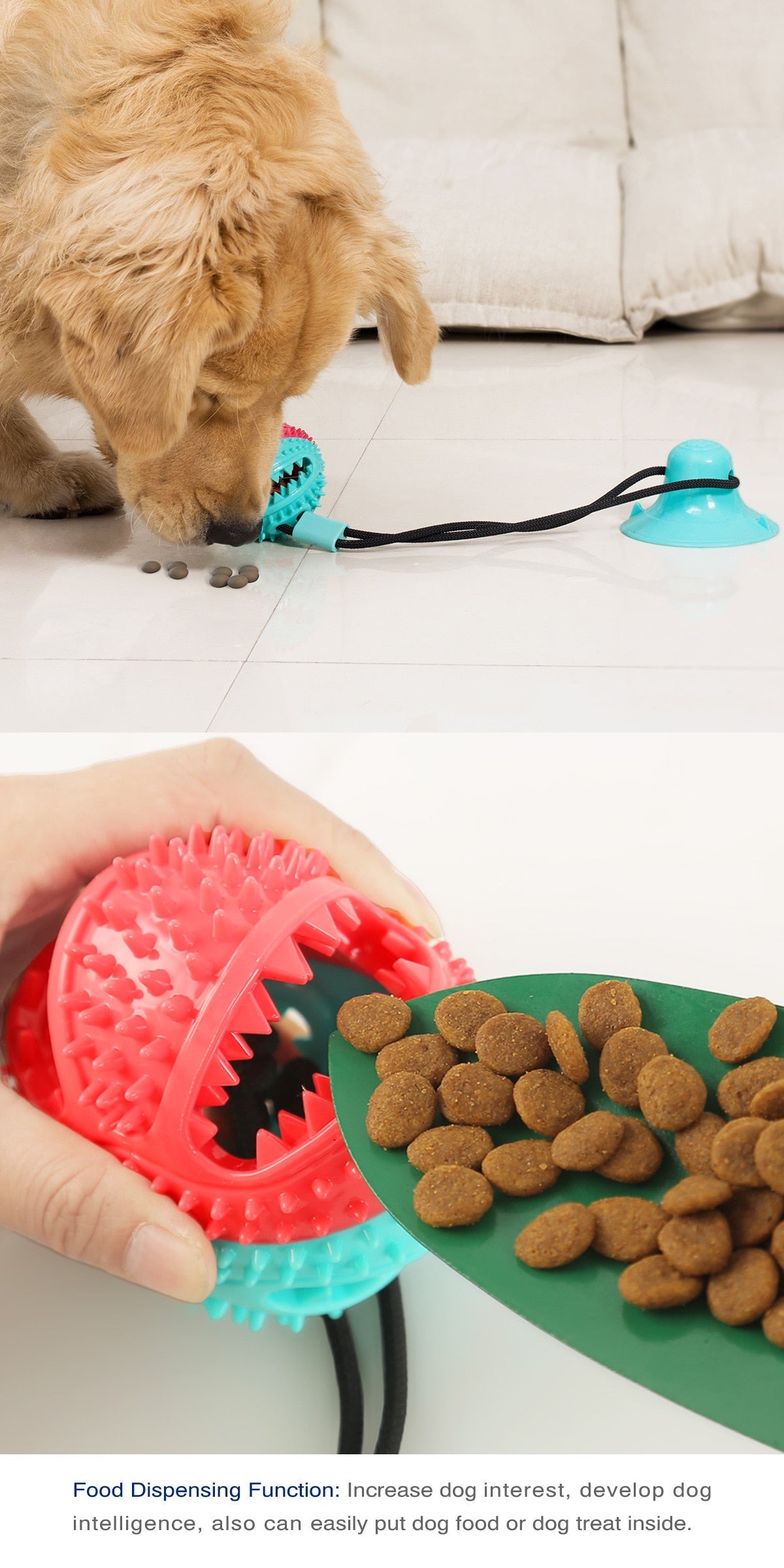 Dog Rope Pull Toy with Suction Cup