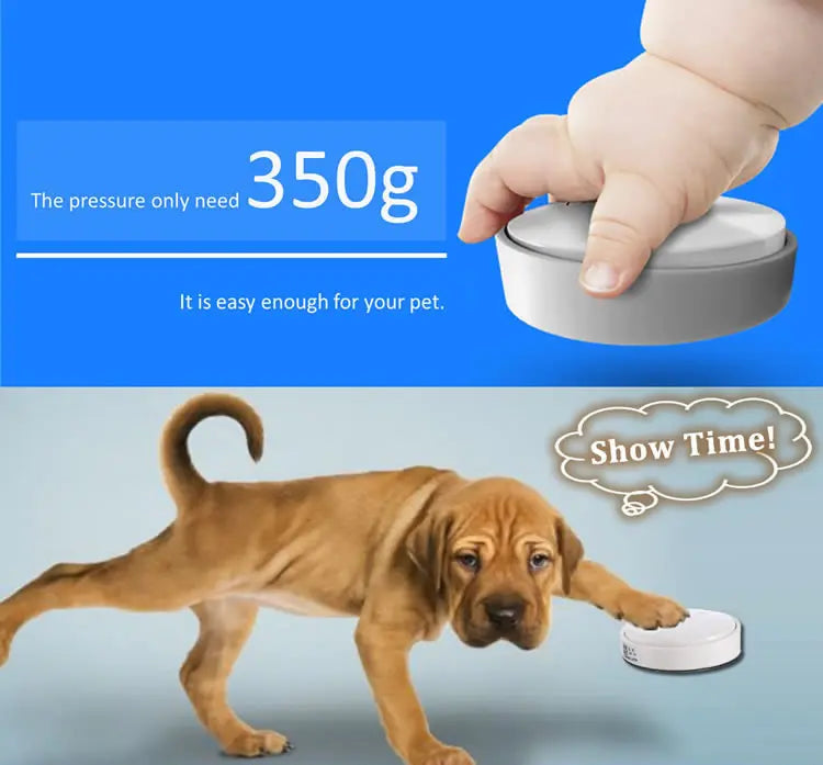 Pet Music Chime Doorbell