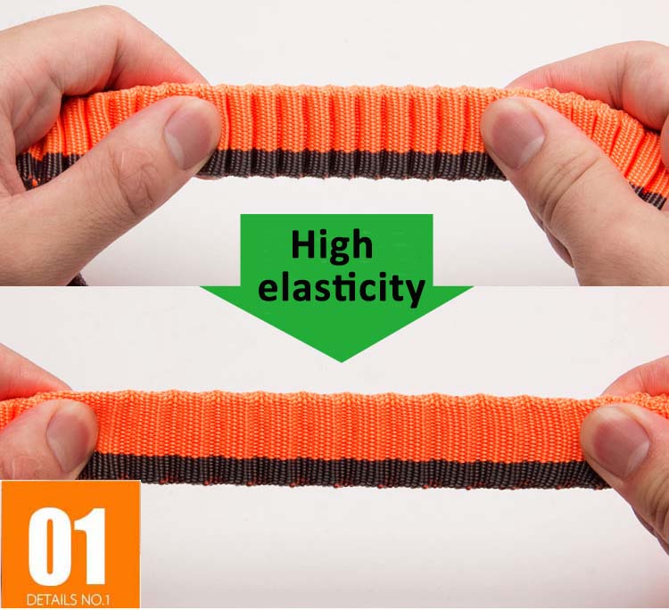 Elastic Bungee Dog Rope Leash
