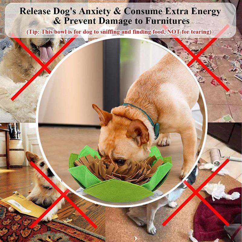 Creative Dog Maze Snuffle Mat - Bark ‘n’ Paws