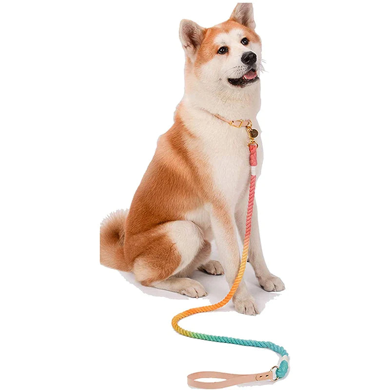 Heavy Duty Soft Handle Dog Leash
