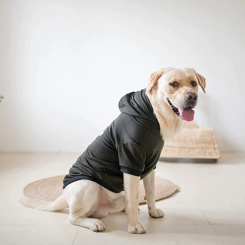 Stylish Fashion Print Dog Hoodie