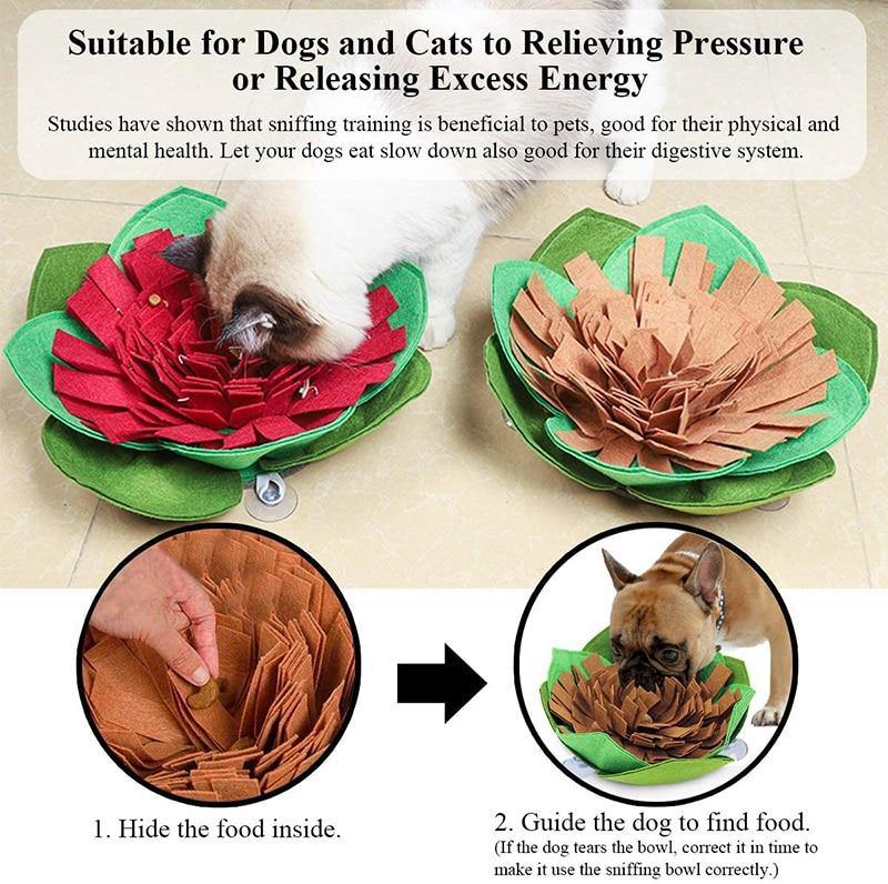 Creative Dog Maze Snuffle Mat - Bark ‘n’ Paws