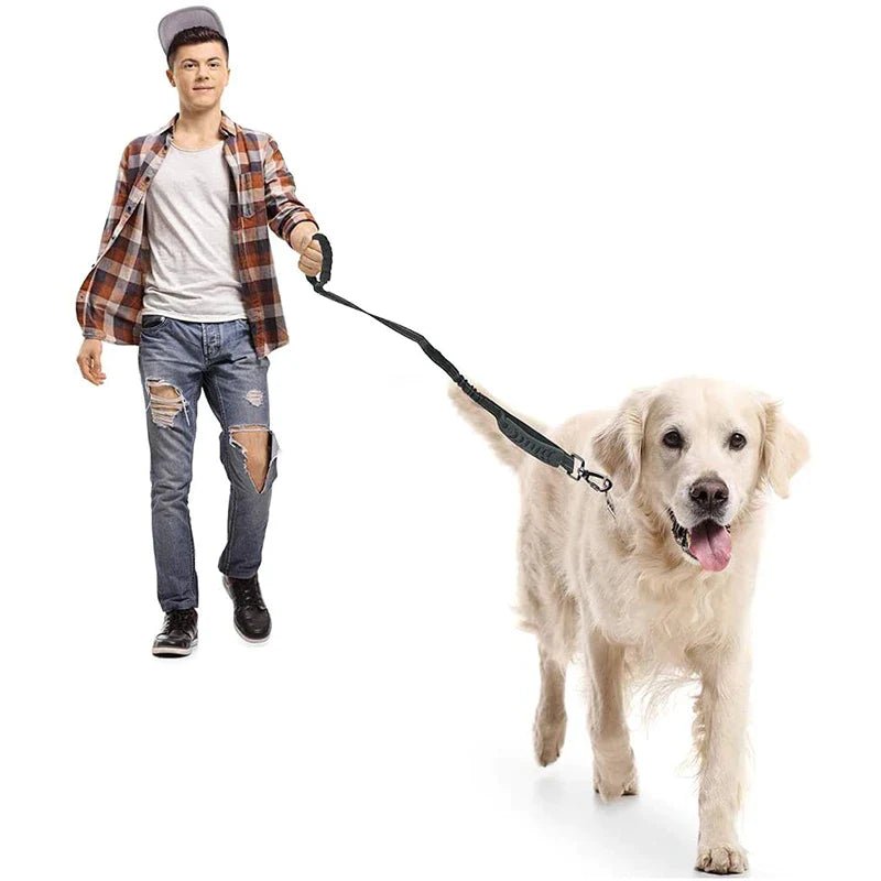 4-in-1 Multifunction Heavy Duty Dog Lead