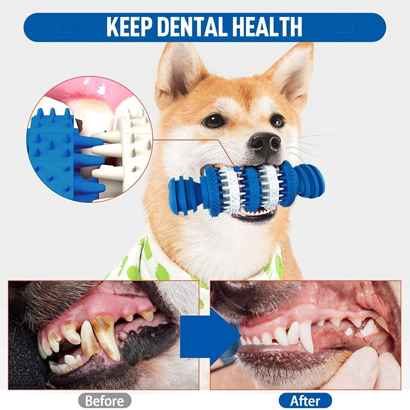 Durable Dog Toys For Aggressive Chewers
