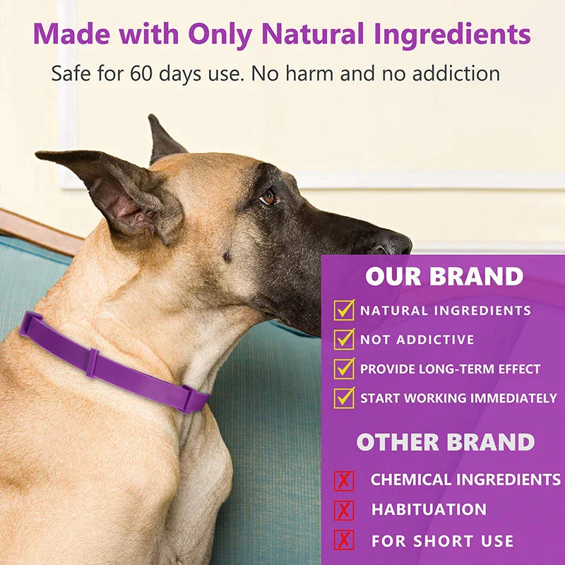 Lasting Natural Calming Dog Collar