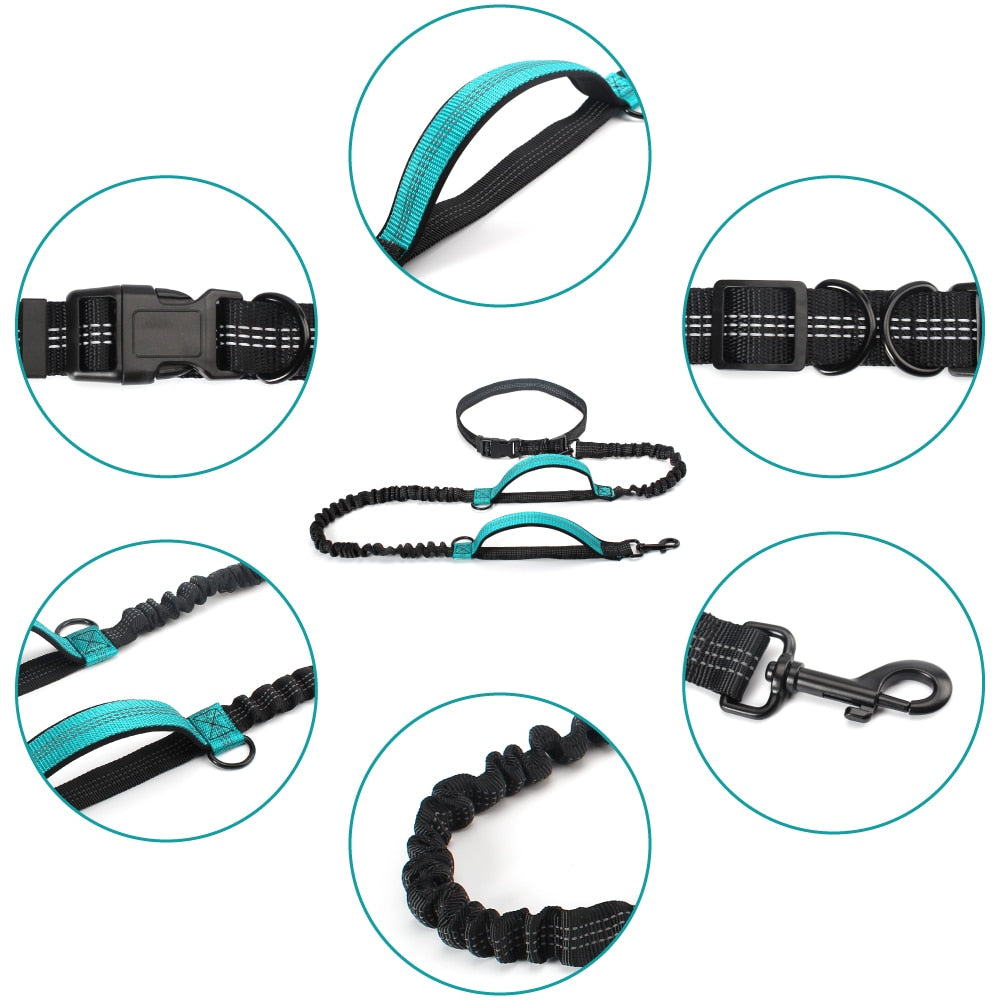 Hands Free Dog Leash Dual Padded Handle