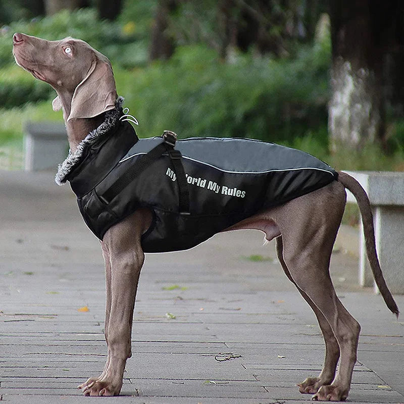 Warm Furry Collar Pet Jacket
