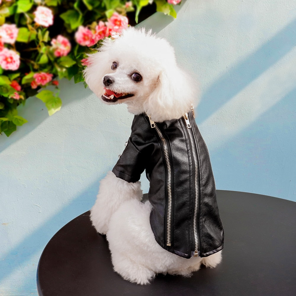 Cool Leather Dog Warm Jacket