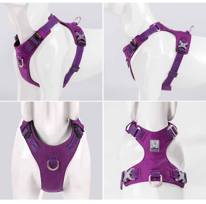 Fast-Release Buckles Dog Harness