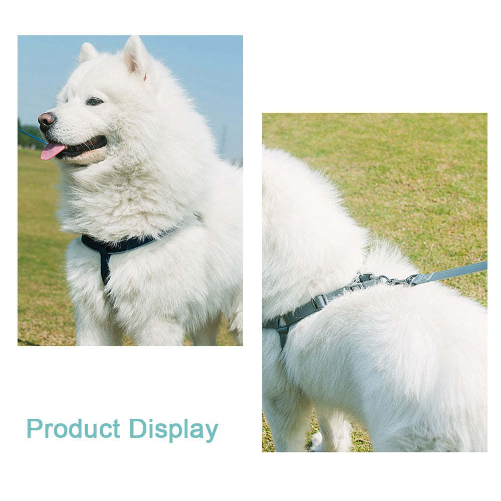 Durable Dog Protective Harness